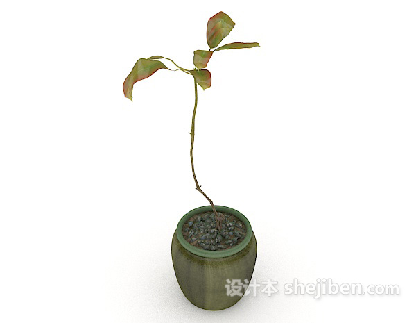 现代风格单株植物盆栽3d模型下载