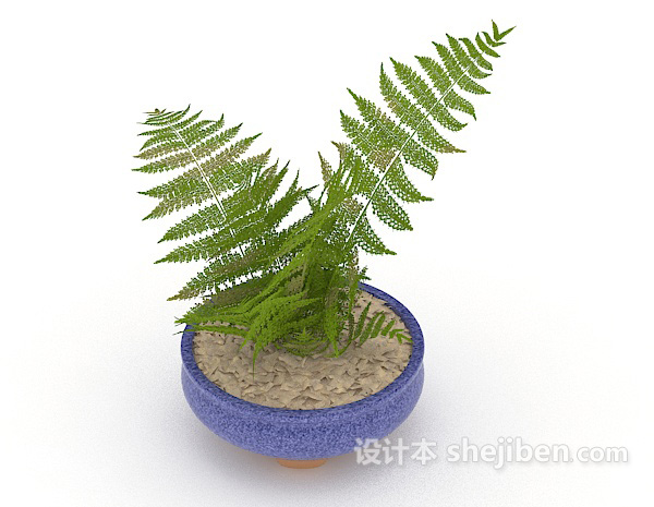 设计本室内绿色小盆栽3d模型下载