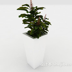 室内绿色装饰盆栽3d模型下载