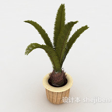 铁树植物装饰3d模型下载