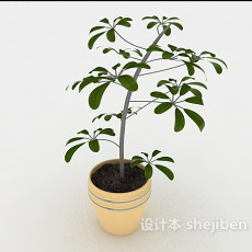 简单庭院盆栽3d模型下载