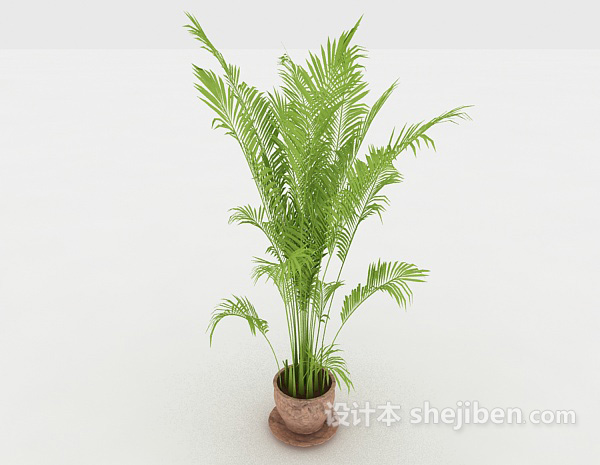 现代风格室内嫩绿盆景3d模型下载