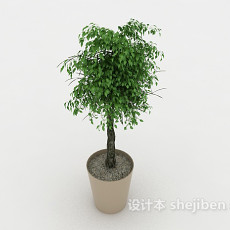 室内休闲植物盆景3d模型下载
