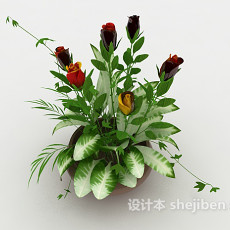 开花盆栽植物3d模型下载