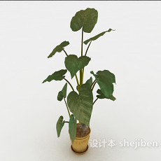 装饰室内小盆栽3d模型下载