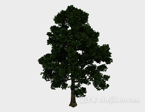 茂密大植树3d模型下载
