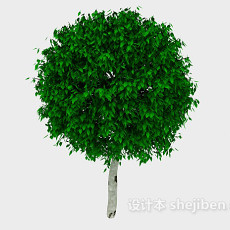 圆形绿树3d模型下载