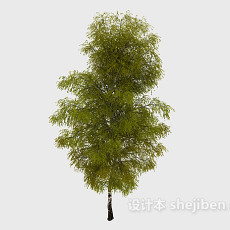 常见室外植物绿树3d模型下载