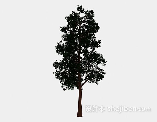 免费园林大树3d模型下载