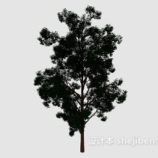 森林大树3d模型下载