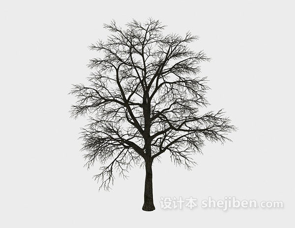 冬季树3d模型下载
