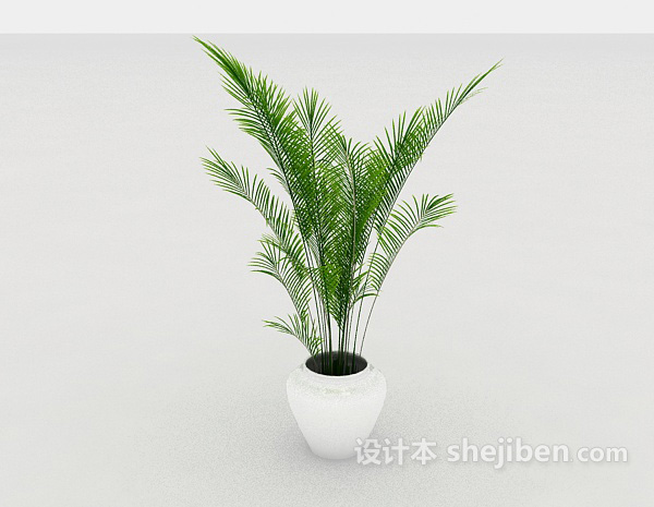 免费办公室绿化型盆栽3d模型下载