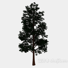 园林大树3d模型下载