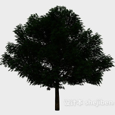 庭院大树3d模型下载