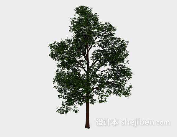 森林绿高树3d模型下载
