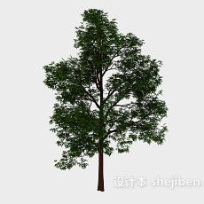森林绿高树3d模型下载