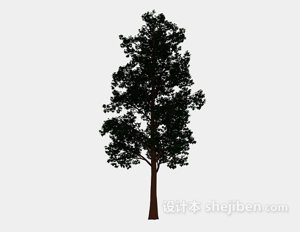 设计本园林大树3d模型下载
