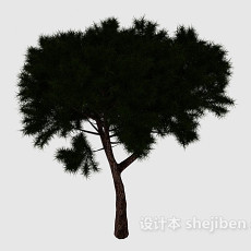 矮松树3d模型下载