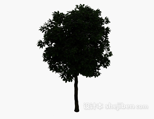设计本茂盛大树3d模型下载