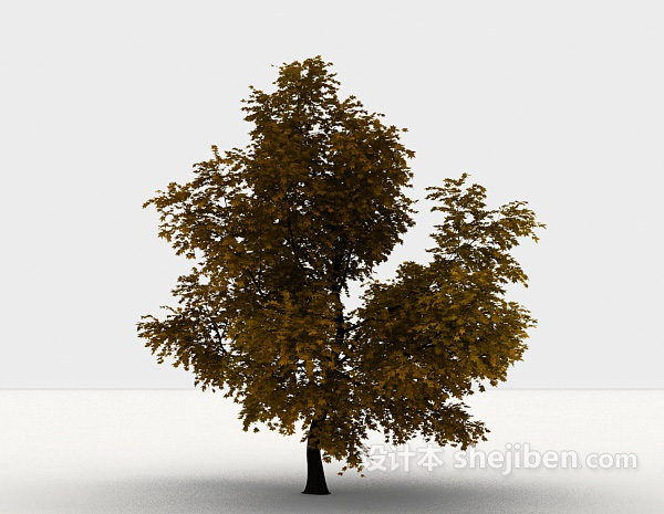 现代风格室外植物枫树3d模型下载