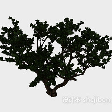 实木古树3d模型下载