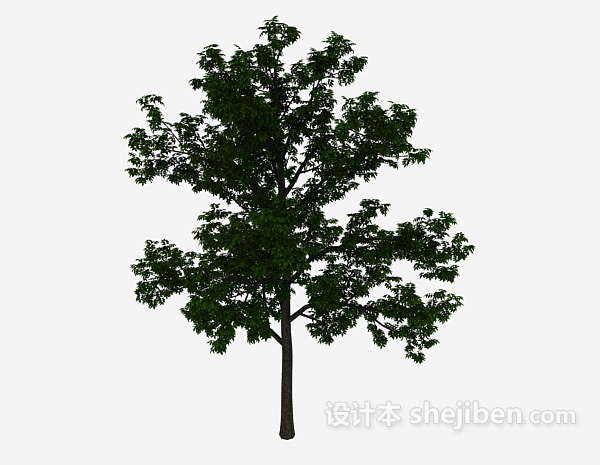 庭院绿植树3d模型下载