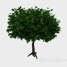 翠绿色大树3d模型下载