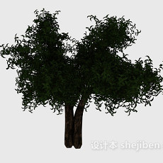 个性大树3d模型下载