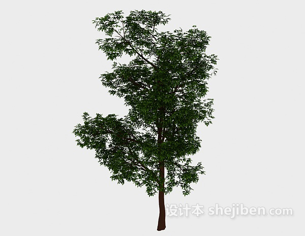 现代风格森林绿高树3d模型下载