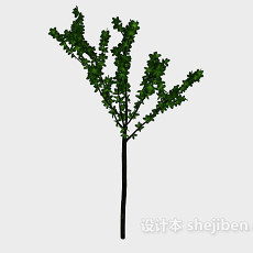 室外小树3d模型下载