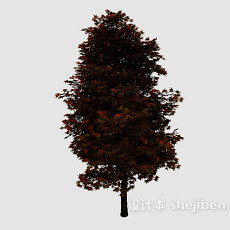 秋树3d模型下载