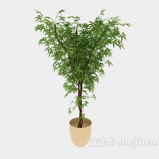 环保盆栽植物3d模型下载