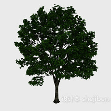 茂密树3d模型下载