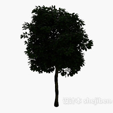 茂盛大树3d模型下载