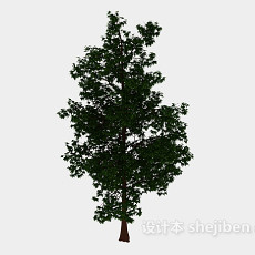 森林高树3d模型下载