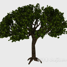 绿色扇形树3d模型下载