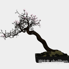 梅花盆景3d模型下载