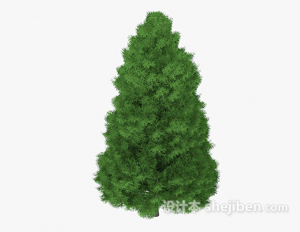绿色松树