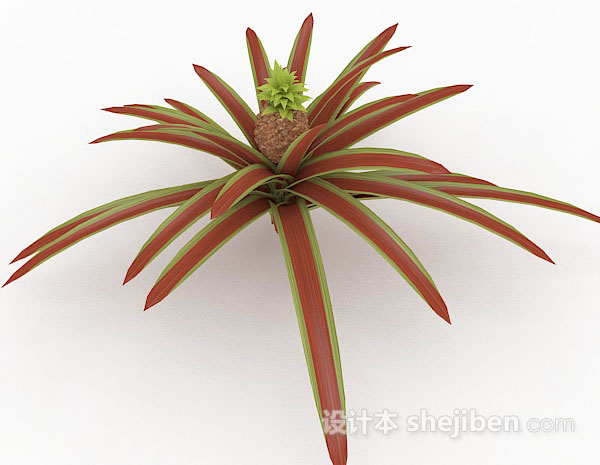 红色室外植物