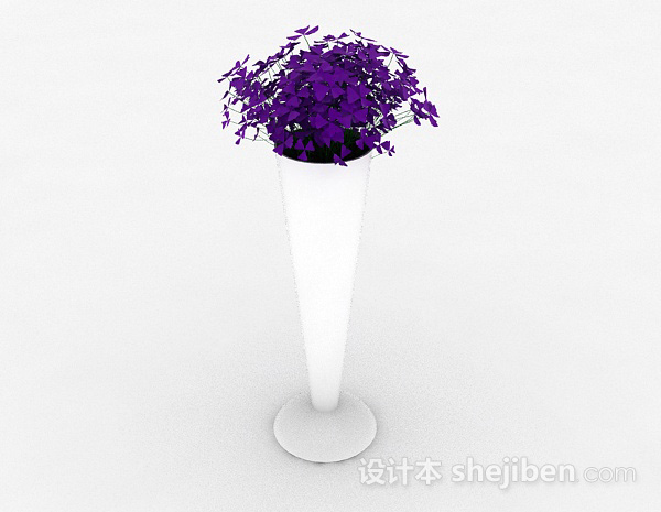 紫色盆栽