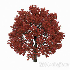 红色大树3d模型下载
