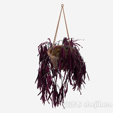 紫色挂篮植物3d模型下载