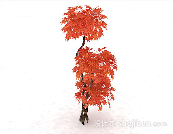 红色枫树3d模型下载