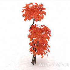红色枫树3d模型下载