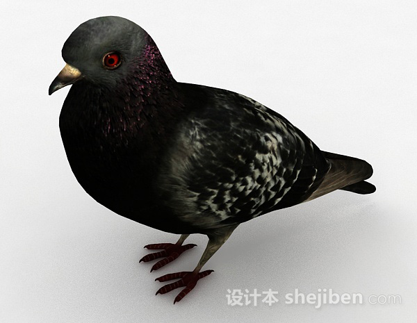 现代风格黑色鸽子3d模型下载