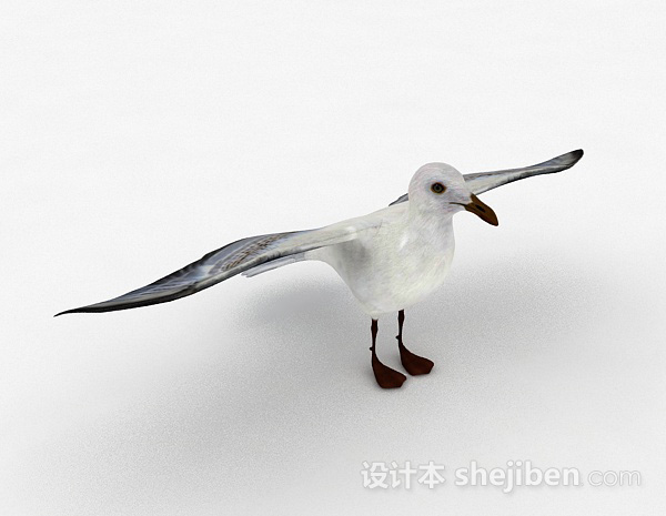 现代风格白色鸽子3d模型下载