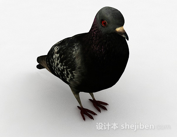 黑色鸽子3d模型下载