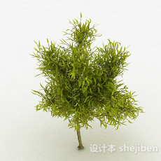 嫩黄色剑型树叶植物3d模型下载