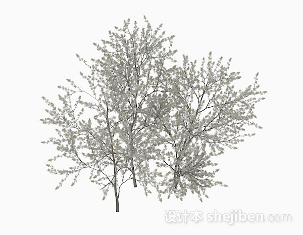 白色花朵植物3d模型下载