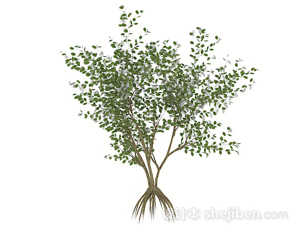 设计本椭圆形小叶字灌木树3d模型下载